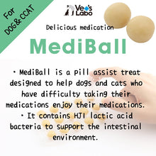 Load image into Gallery viewer, VET&#39;S LABO 16722 Japanese Medi Ball for Dog Cod/Tara Flavor Treats 15pcs 20g