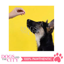 Load image into Gallery viewer, PETIO W12561  Chicken Fillet Flakeｓ 36g Dog Treats