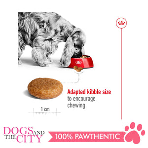 Royal Canin Medium Adult 4kg - Dogs And The City Online