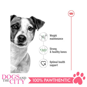 Royal Canin Mini Adult 2kg - Dogs And The City Online