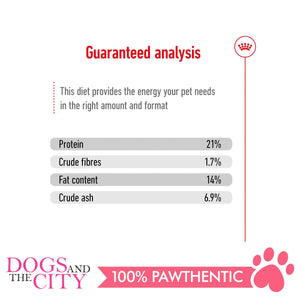Royal Canin Mini Indoor Adult 1.5kg - Dogs And The City Online
