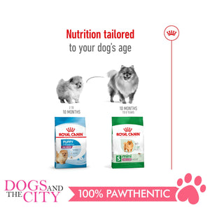Royal Canin Mini Indoor Adult 1.5kg - Dogs And The City Online