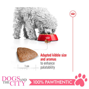 Royal Canin Mini Indoor Adult 1.5kg - Dogs And The City Online