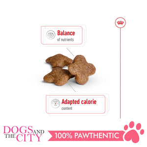 Royal Canin Mini Mature ADULT 8+ 2KG - Dogs And The City Online