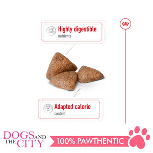 Royal Canin Mini Indoor Adult 1.5kg - Dogs And The City Online