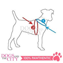 Load image into Gallery viewer, PAWISE 12031 Air Mesh Soft Adjustable Harness for Dog and Puppy 3XS w/1.2m Leash