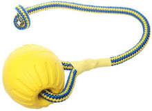 Load image into Gallery viewer, SLP FT002 Swing &#39;n Fling DuraFoam Ball Rope Dog Toy 6cm