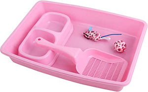 Pawise 28948 4-Piece Cat Starter Kit Pink - All Goodies for Your Pet