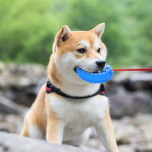 Load image into Gallery viewer, SLP Arctic Freeze Ring Cooling Chew Dog Toy 12cm, Teething Toy for Puppies, Fit with Treats for More Fun (Chewing Ring)