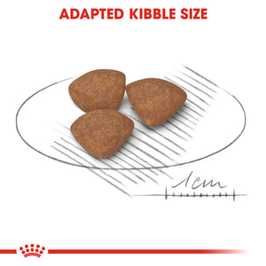 Royal Canin Mini Puppy 2KG - Dogs And The City Online