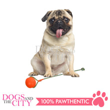 Load image into Gallery viewer, SLP FT002 Swing &#39;n Fling DuraFoam Ball Rope Dog Toy 6cm