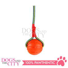 Load image into Gallery viewer, SLP FT002 Swing &#39;n Fling DuraFoam Ball Rope Dog Toy 6cm