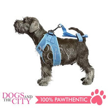 Load image into Gallery viewer, PAWISE 12031 Air Mesh Soft Adjustable Harness for Dog and Puppy 3XS w/1.2m Leash