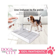 Load image into Gallery viewer, MRCT 9054 Pet Potty Train Spray 150ML