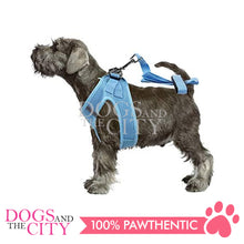 Load image into Gallery viewer, PAWISE 12033 Air Mesh Soft Adjustable Harness for Dog and Puppy XS w/1.5mm 1.2m Long Leash