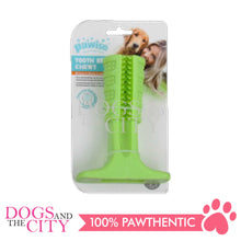 Load image into Gallery viewer, PAWISE 14471 Toothbrush Chewy Dog Toy Small 11x8.5cm